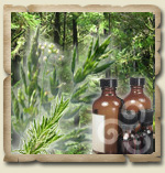 Magickal Herbology
