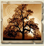 Circle of High Oaks