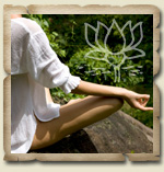 Insight Meditation